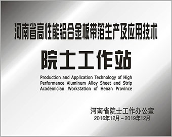 河南省院士工作站 河南省院士工作站